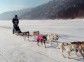 Dog sled, Lake Baikal