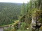 Urals forest