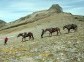 Horse Riding