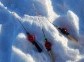 Ice Fishing in Yakutsk