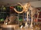 Mammoth Museum, Yakutsk