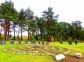 Botanical Garden, Petrozavodsk