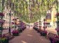 Arbat Street