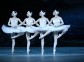 Russian ballet performance in St. Petersburg
